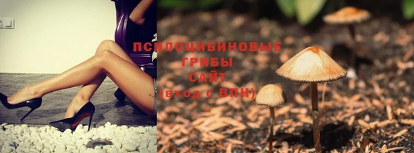 скорость Алексеевка