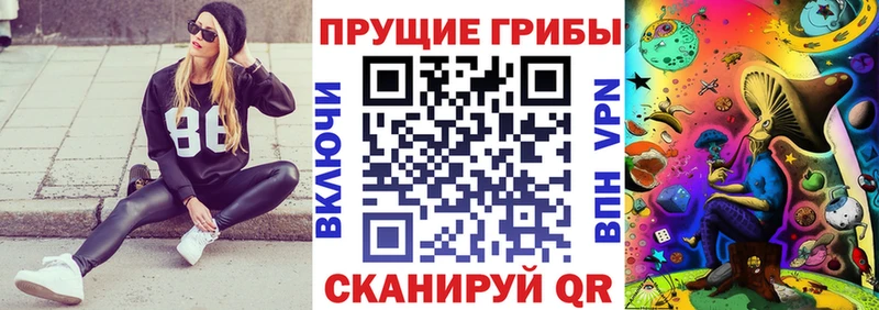 Галлюциногенные грибы Psilocybe  Гвардейск 