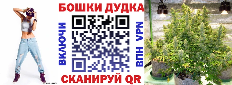 магазин продажи наркотиков  Гвардейск  Каннабис конопля 